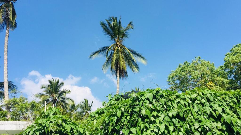 Villa Ceylon Home ウナワトゥナ エクステリア 写真